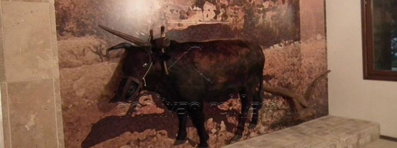 Hatay Tarım Müzesi Slider 0